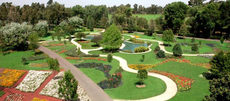 ¡Conéctate con la tierra! Llega el Foro Eco-Cultural al Bosque de Tlalpan