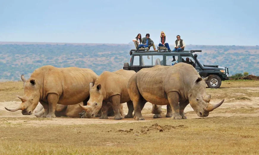 Los 5 mejores destinos de safari en África: aventura, naturaleza y vida salvaje