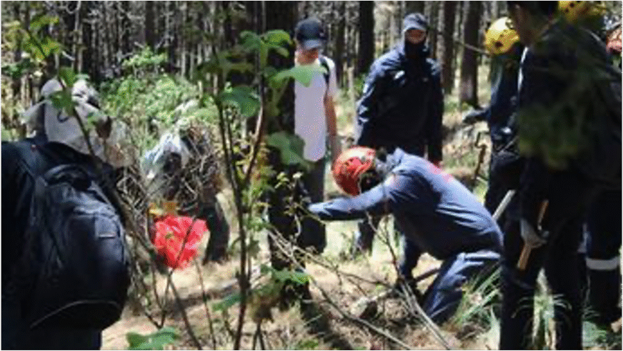 Búsqueda masiva en el Ajusco podría revelar más de 100 restos humanos