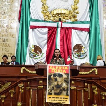 “Alerta Frida”: CDMX prepara protocolo público para encontrar mascotas perdidas