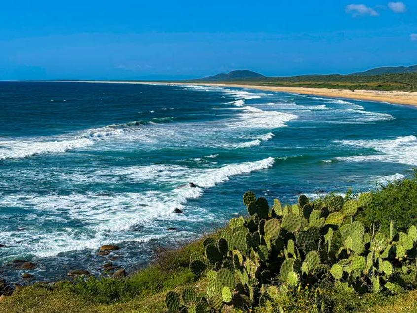 Costalegre: el santuario natural intacto de Jalisco