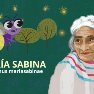 ¡Brilla María Sabina en Chapultepec! Nueva luciérnaga lleva su nombre