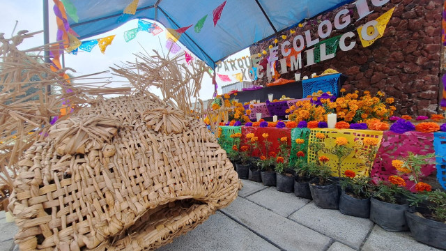 Un Día de Muertos ecológico: talleres, cine y gastronomía en el corazón de Xochimilco