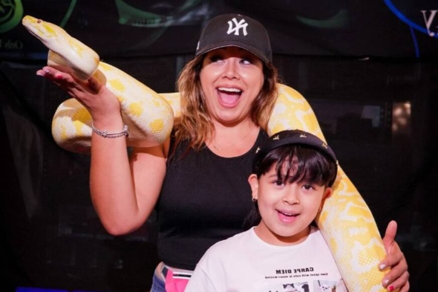 Fin de semana en la CDMX: Animalia México Otoño 2025, la gran fiesta de la flora, fauna y funga no convencional