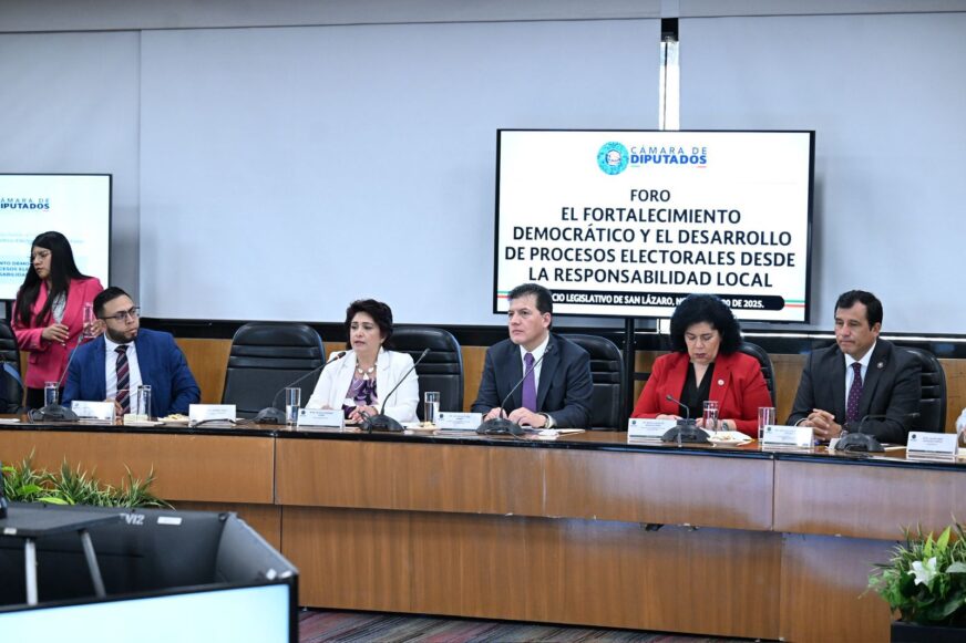 OPLES defienden autonomía electoral y proponen voto anticipado universal ante Diputados