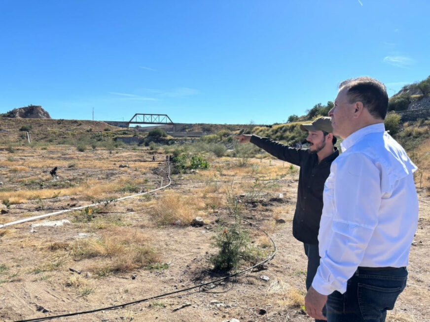 Renace “La Oreja”: completan rehabilitación ecológica en el Bosque Urbano La Sauceda