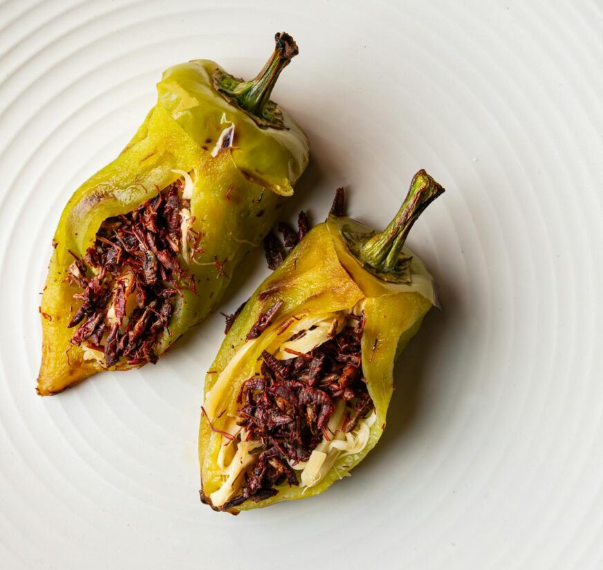 Insectos gourmet: más allá del gusano de maguey