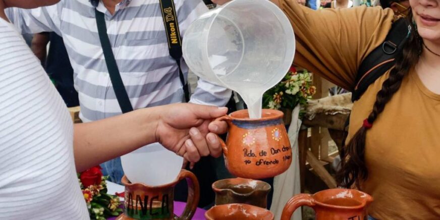 Agave y tradición en la Condesa: así será el Festival del Pulque y Mezcal 2026