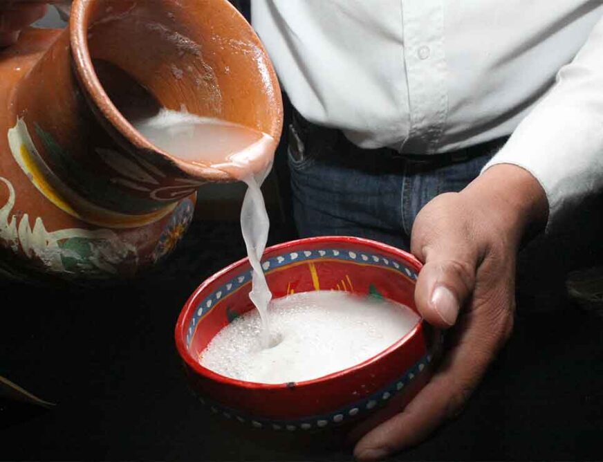 La ruta del pulque de autor: de las pulquerías clásicas a los templos “gourmet” de la fermentación
