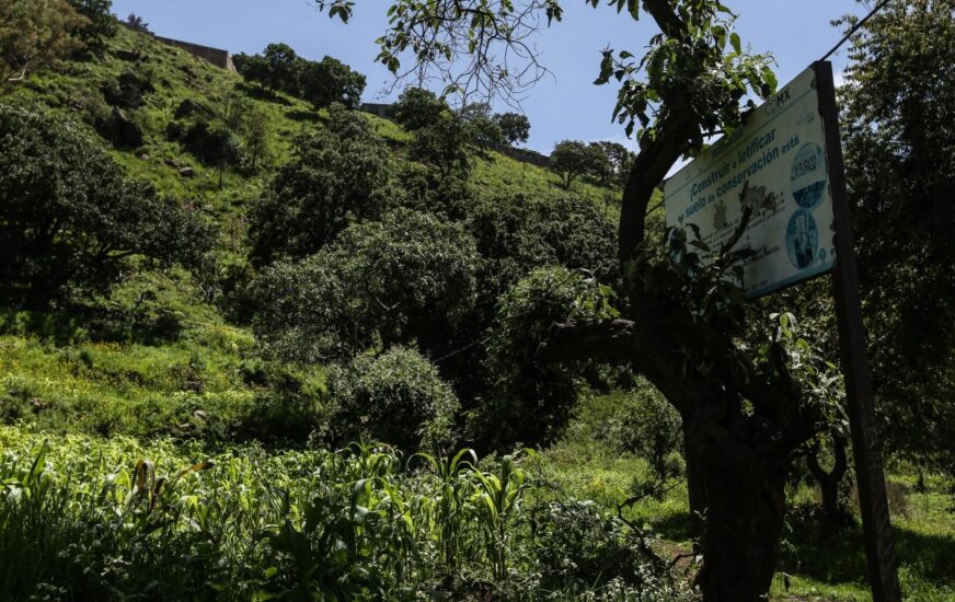 ¿Fallas en vigilancia? Los Dinamos suma rescates constantes y dos crímenes recientes