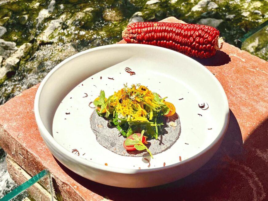 Semana de la Cocina Tlaxcalteca 2026: sabores, tradición y experiencias únicas